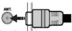 SALORA 24LED8115CDW - Antenna/Cable Connection - 1