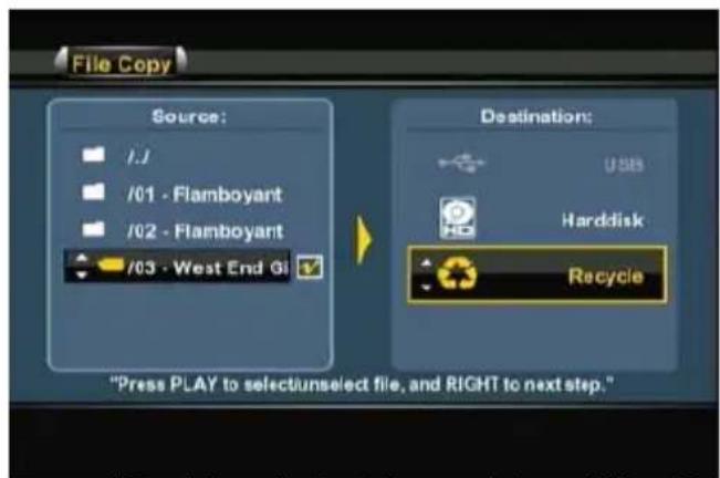 CONCEPTRONIC Media Giant Plus - ESPAÑOL - 3