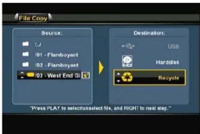 CONCEPTRONIC Media Giant Plus - PORTUGUÊS - 3