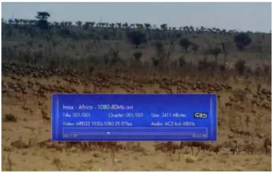 SITECOM MD-272 - Video Player - 1