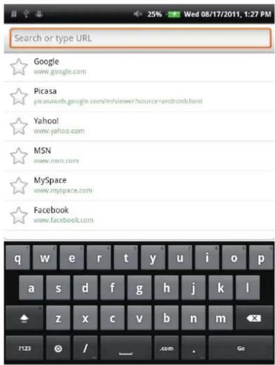 VIEWSONIC ViewPad 7e - Accessing the Web - 1
