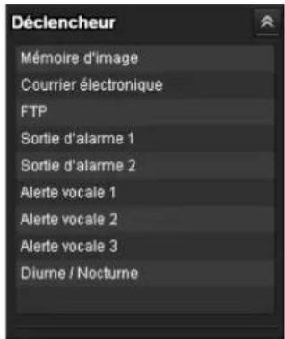 Déclencheur Mémoire d'image Courrier électronique FTP Sortie d'alarme 1 Sortie d'alarme 2 Alerte vocale 1 Alerte vocale 2 Alerte vocale 3 Diurne / Nocturne