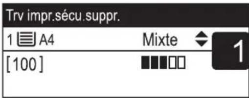 Trv impr.sécu.suppr. 1 A4 Mixte 1 [100]