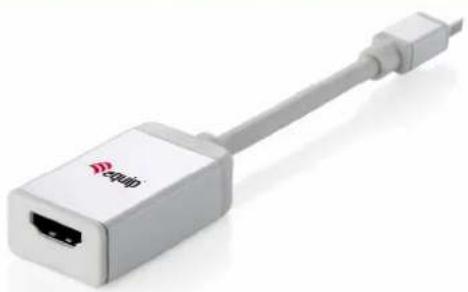 Equip Mini DisplayPort - 1