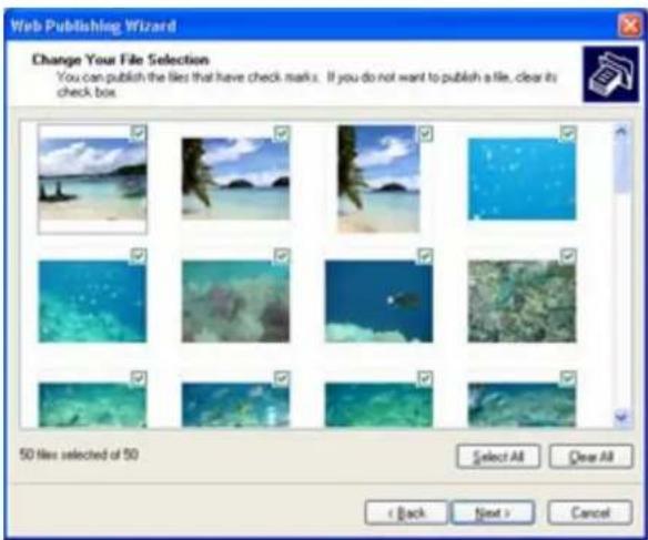 Thecus N5500 - Windows XP Publishing Wizard - 6