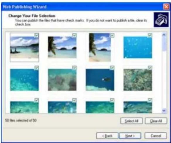 Thecus N7700SAS - Windows XP Publishing Wizard - 6