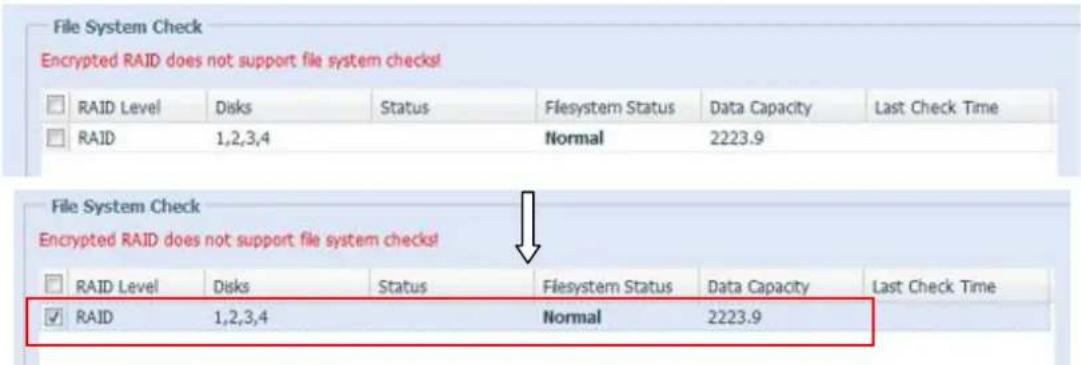 Thecus N4510U - File System Check (Vérification du système de fichiers) - 5