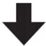 Newland FM420 - Use batch setting code - 5