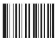 Newland FM420 - Data Matrix - 5