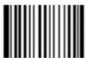 Newland FM420 - Code ID Prefix - 13