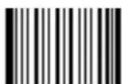 Newland FM420 - Digits Addenda Code - 2