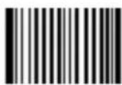 Newland FM420 - QR Code - 4