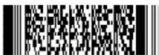 Newland FM420 - Use batch setting code - 8