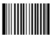 Newland FM420 - Digits Addenda Code - 4