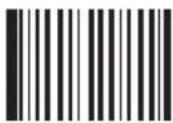 Newland FM420 - Disable or Enable Terminal - 3