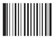Newland FM420 - QR Code - 8