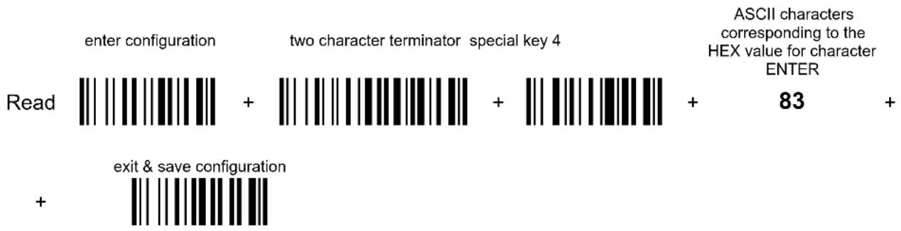 DATALOGIC PowerScan M8300 - - Defining Special Key Sequences - - 8