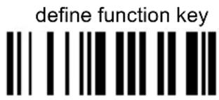 DATALOGIC PowerScan PM8300 - FUNCTION KEY PROGRAMMING - 2