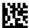 DATALOGIC PowerScan PM8500 - - Integrating Special Keys in Headers/Terminators - - 16