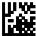 DATALOGIC PowerScan PM8500 - Address Delimiter - 6