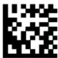 DATALOGIC PowerScan PM8500 - Custom Code Identifier — continued - 8