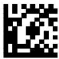 DATALOGIC PowerScan PM8500 - Caps Lock Auto-Recognition (IBM AT compatible only) - 1