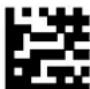 DATALOGIC PowerScan PM8500 - - Defining Special Key Sequences - - 11