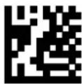 DATALOGIC PowerScan PM8500 - Control Character Emulation - 2