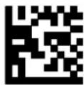 DATALOGIC PowerScan PM8500 - Caps Lock Auto-Recognition (IBM AT compatible only) - 2