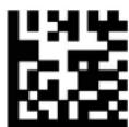 DATALOGIC PowerScan PM8500 - Custom Code Identifier - 9