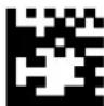 DATALOGIC PowerScan PM8500 - Define Special Key Sequence - 13