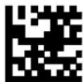 DATALOGIC PowerScan PM8500 - Custom Code Identifier - 29