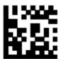 DATALOGIC PowerScan PM8500 - Custom Code Identifier - 13