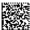 DATALOGIC PowerScan PM8500 - Concatenation Result Code ID - 5