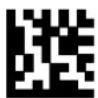 DATALOGIC PowerScan PM8500 - - Integrating Special Keys in Headers/Terminators - - 4