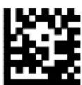 DATALOGIC PowerScan PM8500 - Font Size - 2