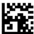 DATALOGIC PowerScan PM8500 - Font Size - 3