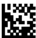 DATALOGIC PowerScan PM8500 - Custom Code Identifier - 11