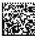 DATALOGIC PowerScan PM8500 - Example Method 1 Extracting Information from Barcode - 2