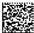 DATALOGIC PowerScan PM8500 - Concatenation with Intercode Delay - 2