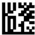DATALOGIC PowerScan PM8500 - Address Delimiter - 2