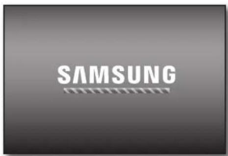 SAMSUNG SRD-470D - - Updating the Software - 5