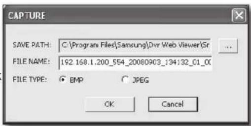 SAMSUNG SRD-850D - SAVInG tHe LIVe SCReen On tHe pC - 2