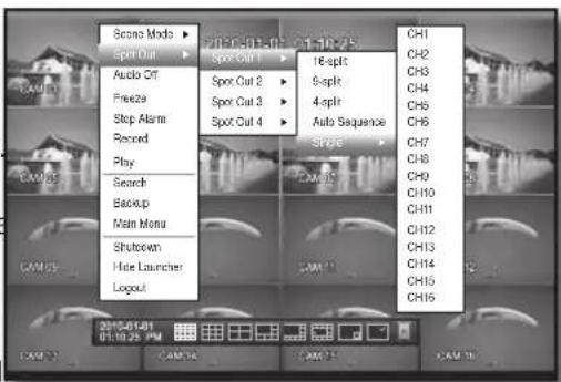 SAMSUNG SRD-870D - Selecting a Spot Out mode - 1