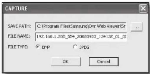 SAMSUNG SRD-870D - SAVInG tHe LIVe SCReen On tHe pC - 2