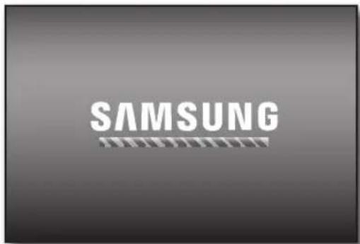 SAMSUNG SRD-870D - - Updating the Software - 5