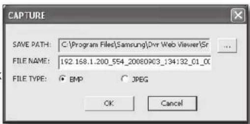 SAMSUNG SRD-870D - SAVInG tHe LIVe SCReen On tHe pC - 2