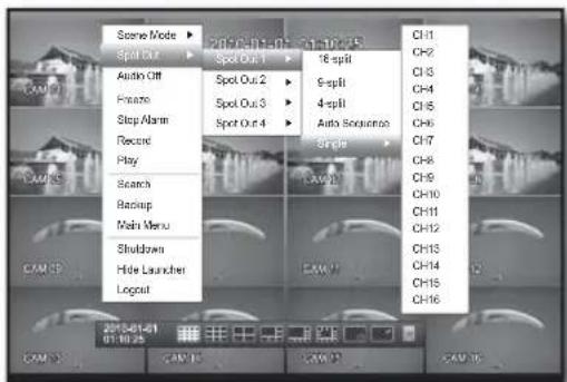 SAMSUNG SRD-870DC - Selecting a Spot Out mode - 1