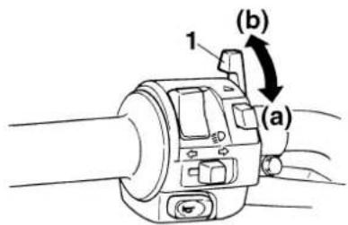 YAMAHA FZS1000 - Starter (choke) lever " |" - 1