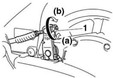 (b) 1 (a)